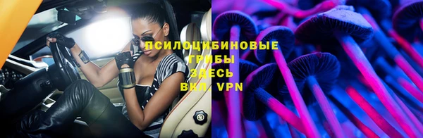 индика Баксан