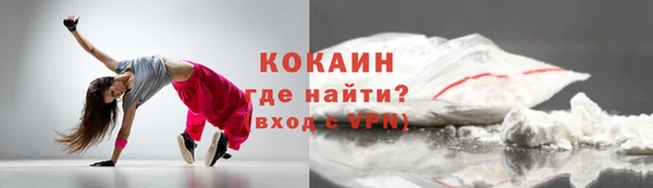 индика Баксан