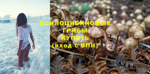 индика Баксан