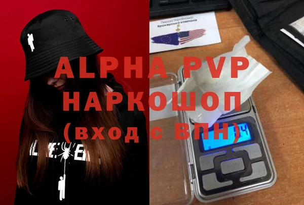 индика Баксан